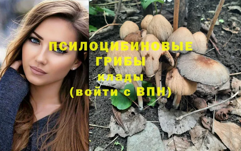 Псилоцибиновые грибы MAGIC MUSHROOMS  закладки  Иланский 